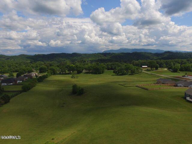 Lot 9 Temple Road Seymour, TN 37865 - Photo 8 of 12 temple 908
