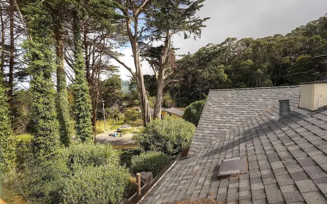 a view of a yard with plants