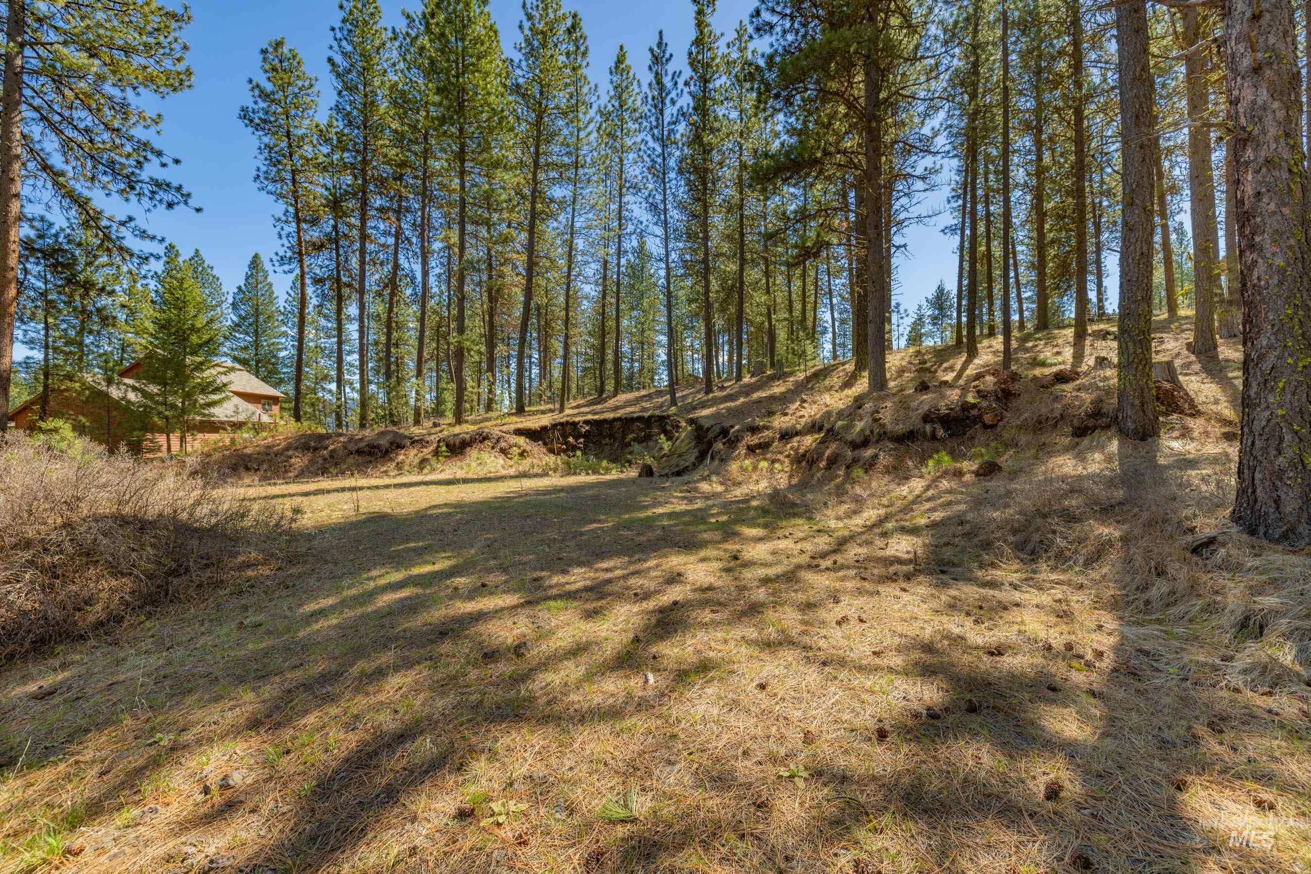 Lot 27 Hot Springs Road New Meadows, ID 83654 - Photo 11 of 23