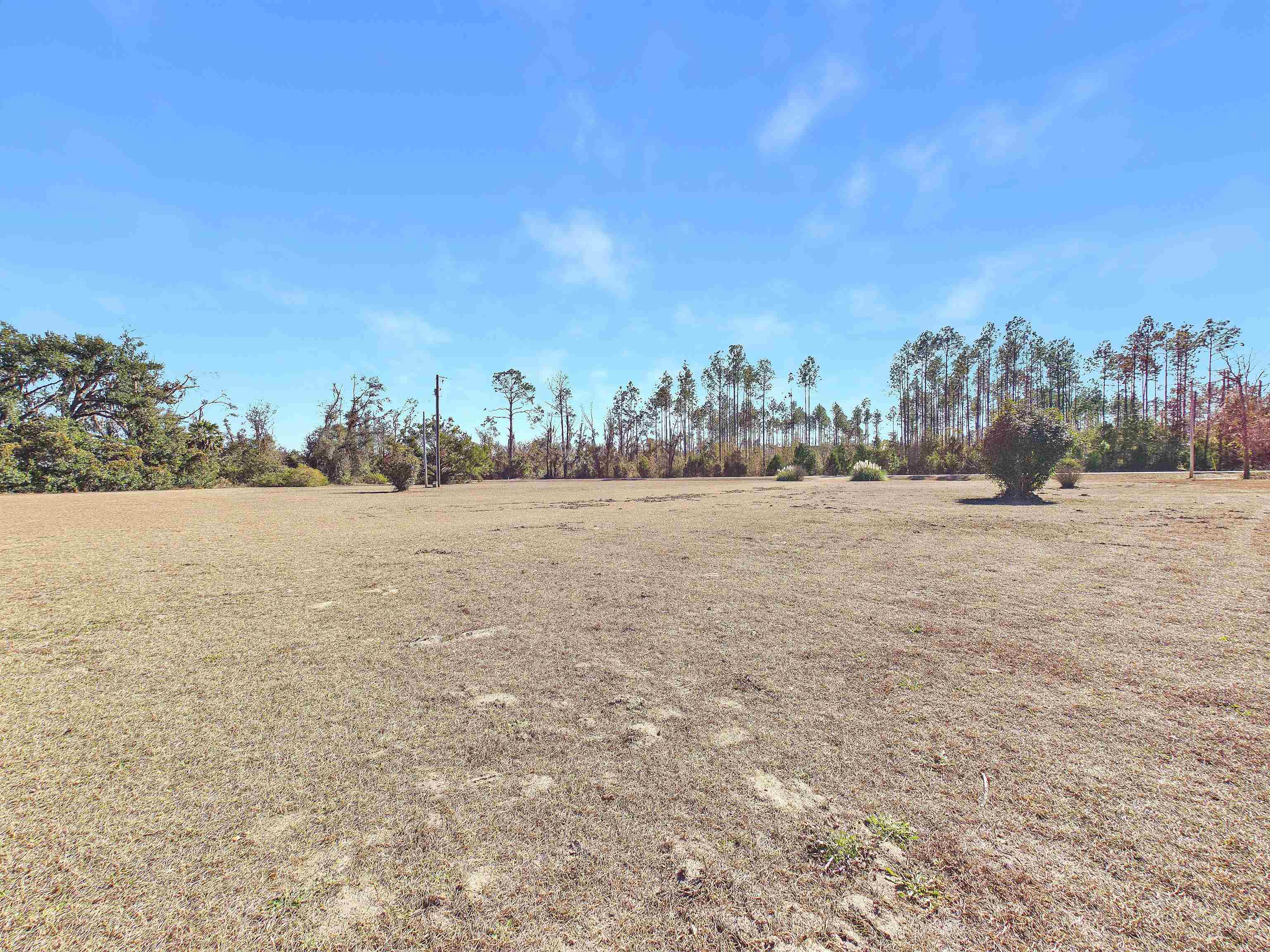 1542 Holt Road Perry, FL 32348 - Photo 31 of 35