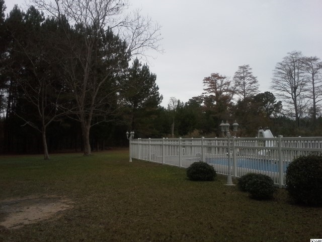 7933 10 Acre Road Andrews, SC 29510 - Photo 4 of 6