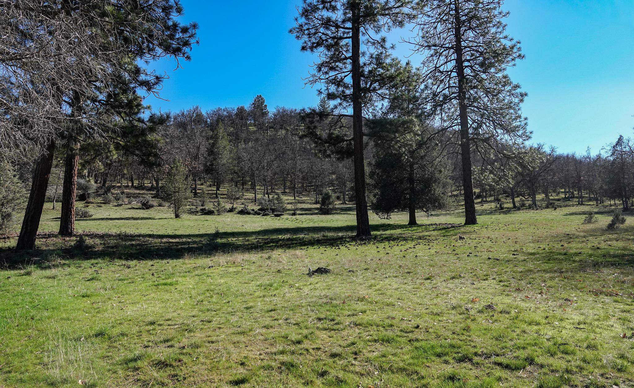 0 Scarface Road Fort Jones, CA 96032 - Photo 15 of 35 Gallery Image 15