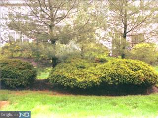 1904 Sterling Road, Unit 4 Yardley, PA 19067 - Photo 5 of 5 Gallery Image 5
