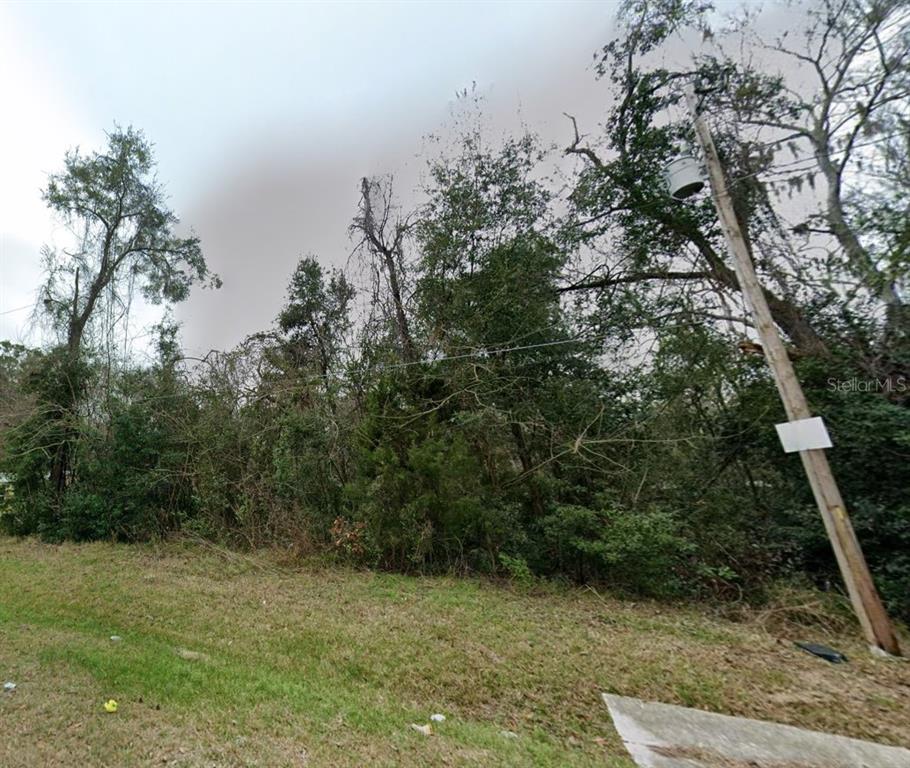a view of a dry yard