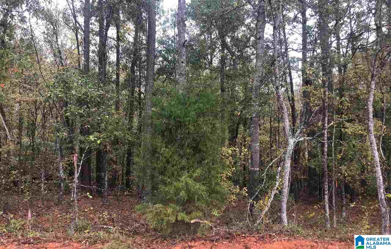 1.42 Dickey Drive, Unit 2 Pell City, AL 35128 - Photo 2 of 5