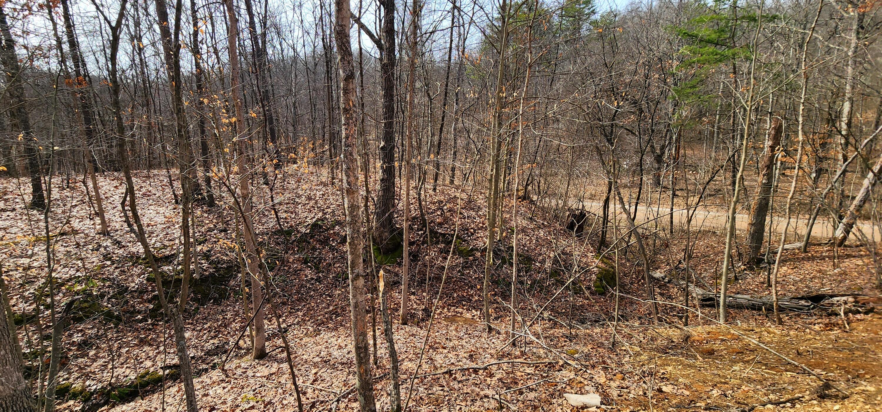 0 Edmundson Road, Unit TRACT 4 AT BIG TIMBER) Vinton, OH 45686 - Photo 22 of 67 23