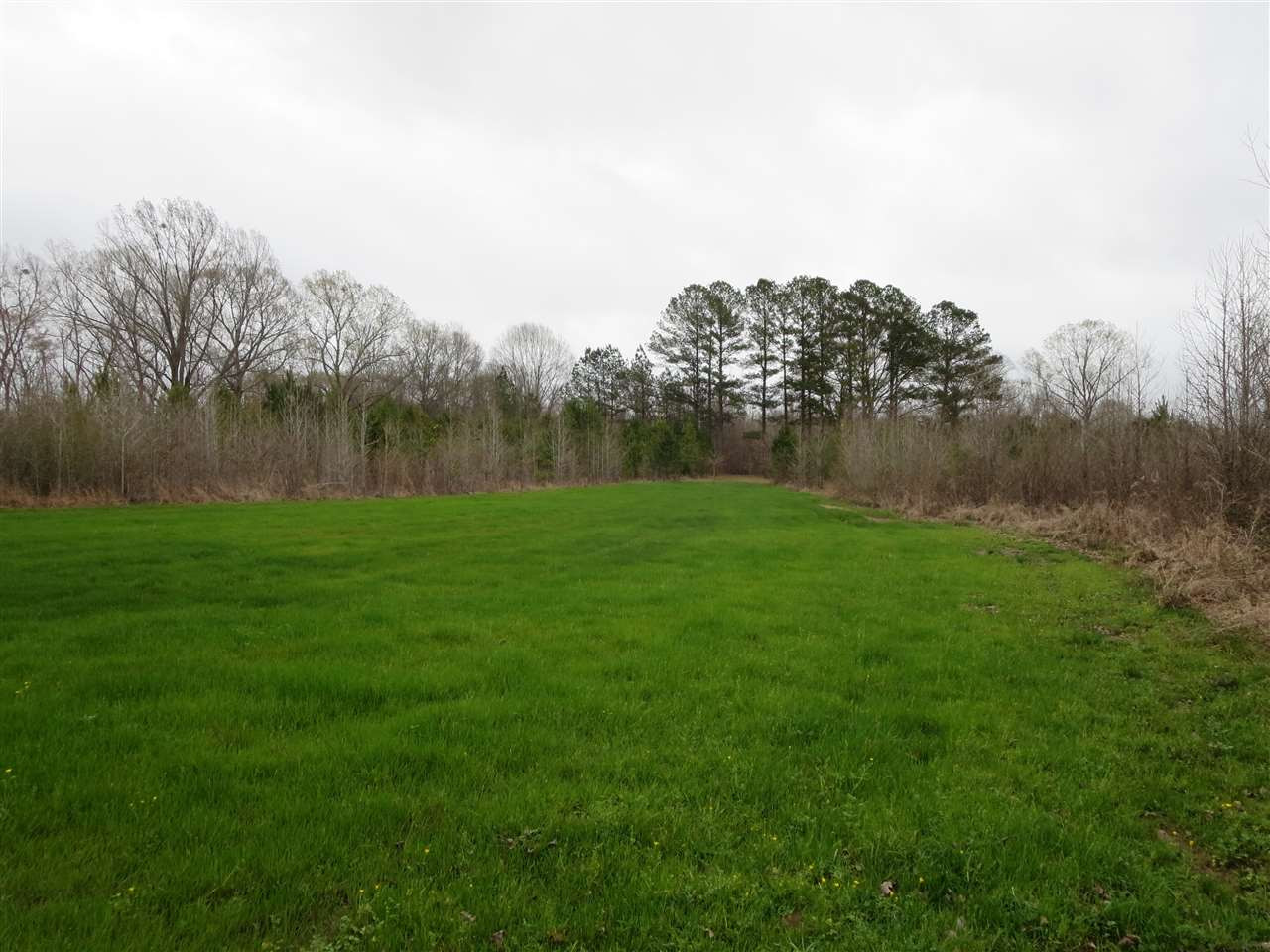 3180 Palestine Road Raymond, MS 39154 - Photo 1 of 27 Photo 1