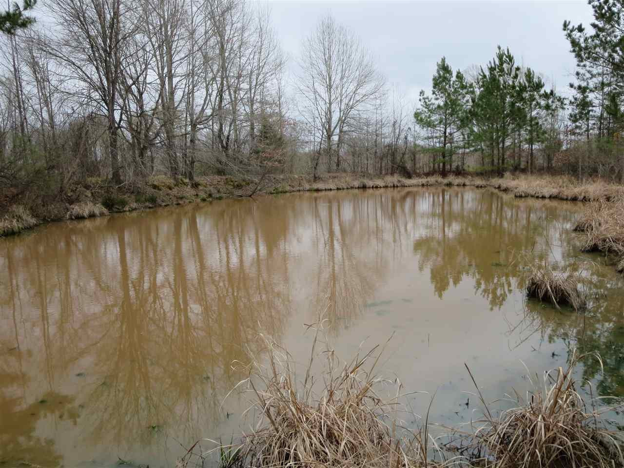3180 Palestine Road Raymond, MS 39154 - Photo 11 of 27 Photo 11