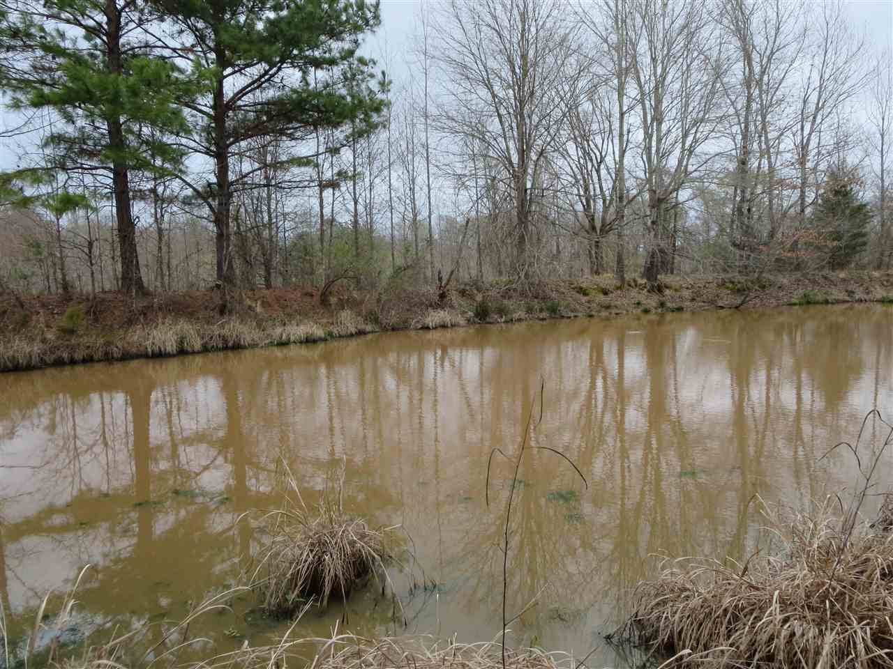 3180 Palestine Road Raymond, MS 39154 - Photo 12 of 27 Photo 12