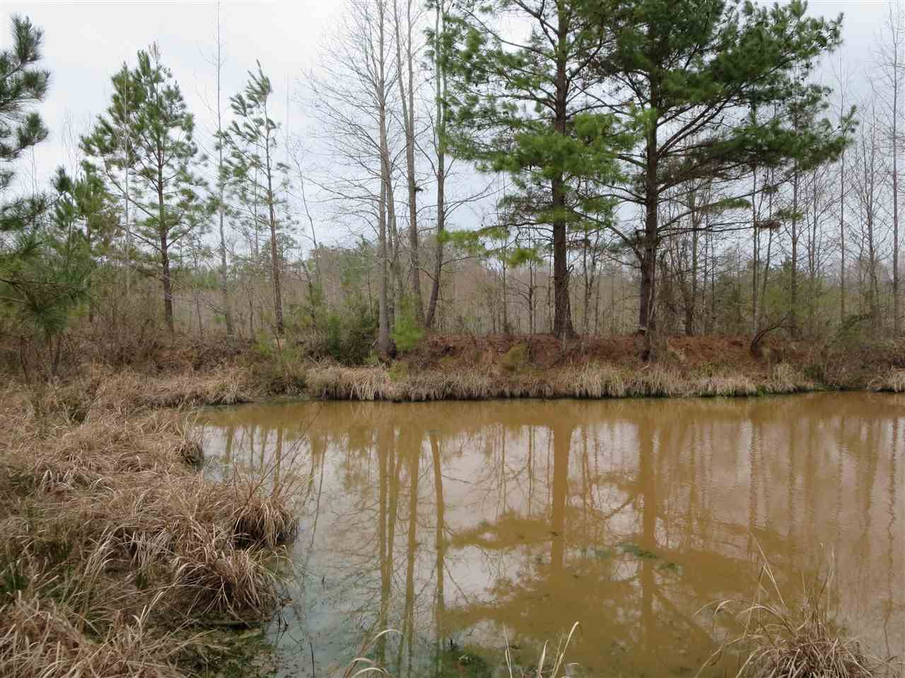 3180 Palestine Road Raymond, MS 39154 - Photo 13 of 27 Photo 13