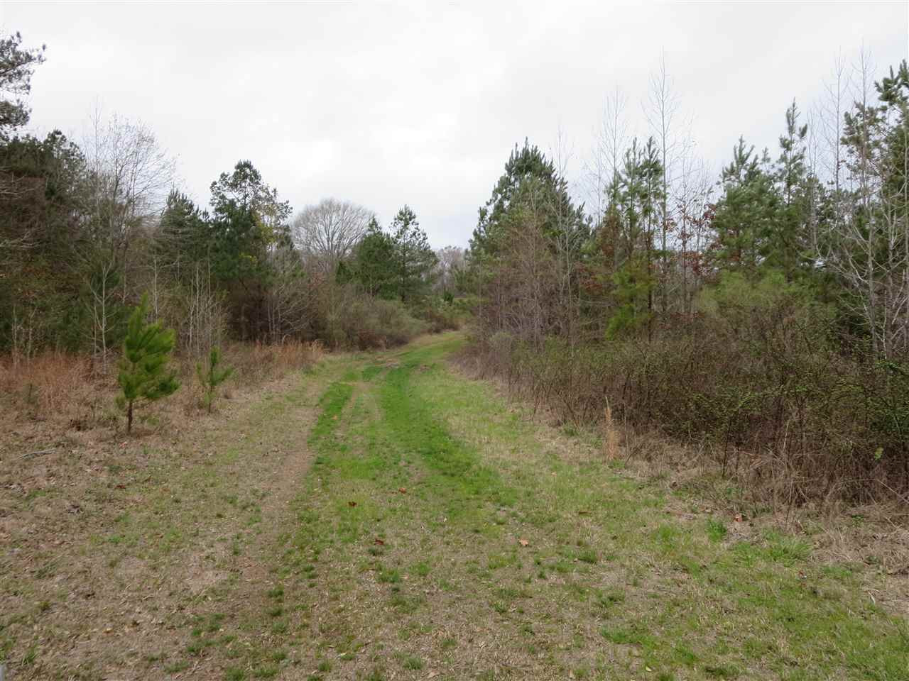 3180 Palestine Road Raymond, MS 39154 - Photo 14 of 27 Photo 14