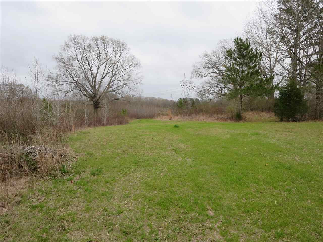 3180 Palestine Road Raymond, MS 39154 - Photo 15 of 27 Photo 15