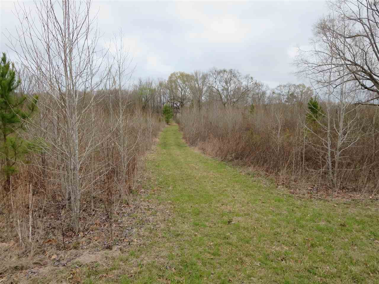 3180 Palestine Road Raymond, MS 39154 - Photo 16 of 27 Photo 16