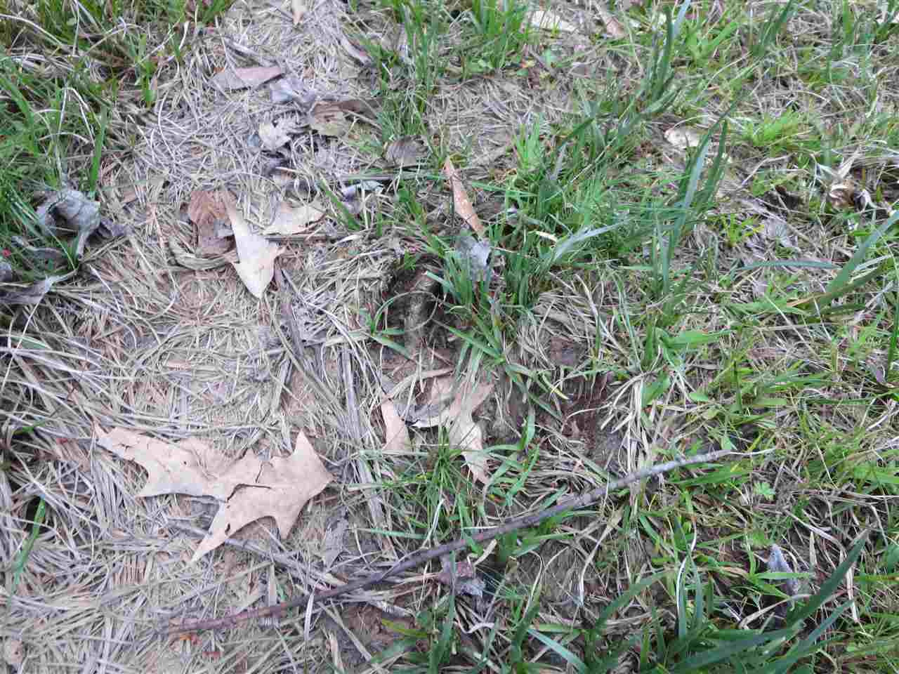 3180 Palestine Road Raymond, MS 39154 - Photo 17 of 27 Photo 17