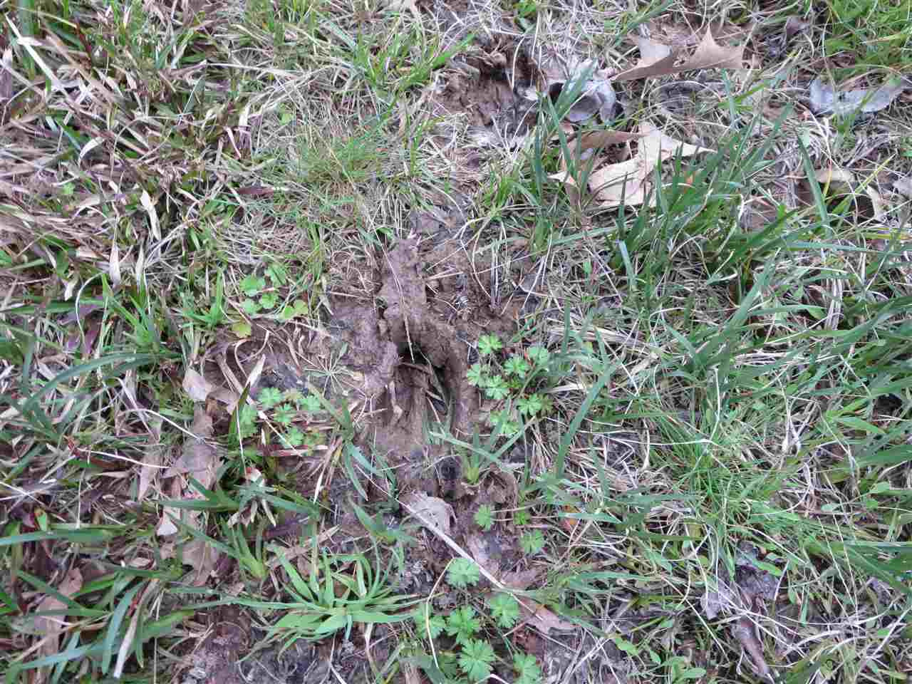 3180 Palestine Road Raymond, MS 39154 - Photo 18 of 27 Photo 18
