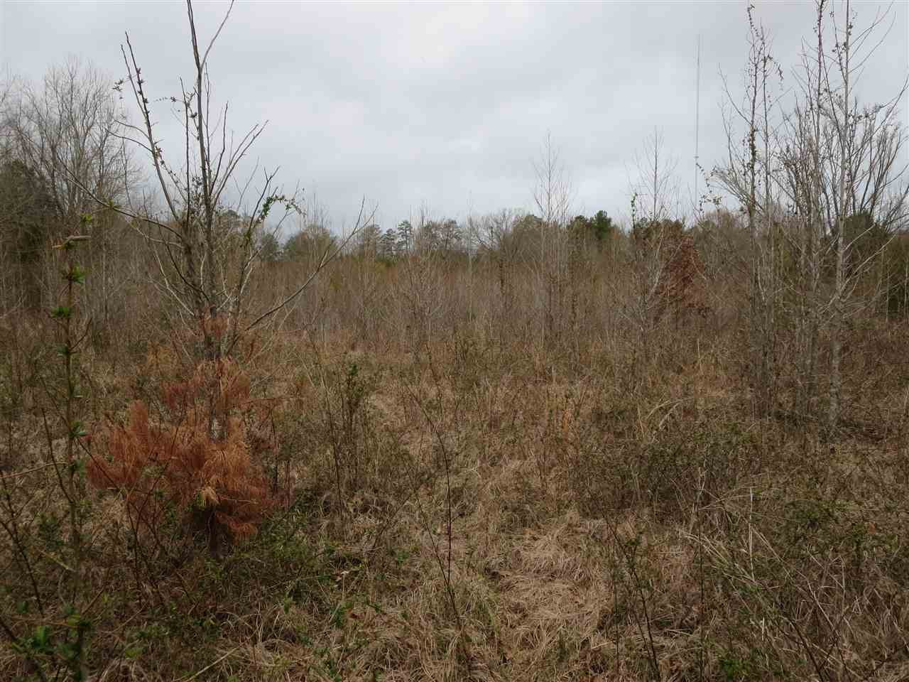 3180 Palestine Road Raymond, MS 39154 - Photo 19 of 27 Photo 19