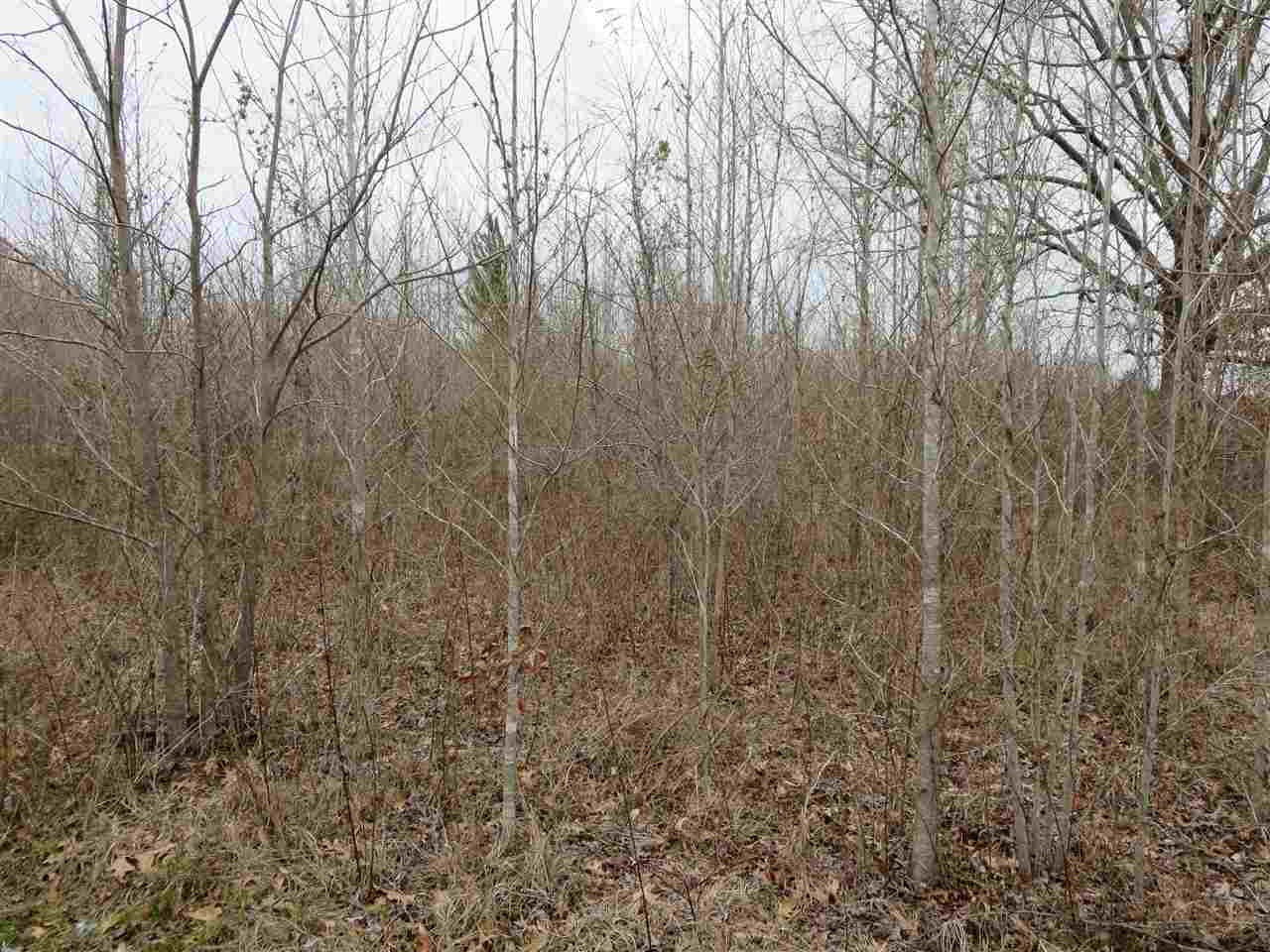 3180 Palestine Road Raymond, MS 39154 - Photo 20 of 27 Photo 20