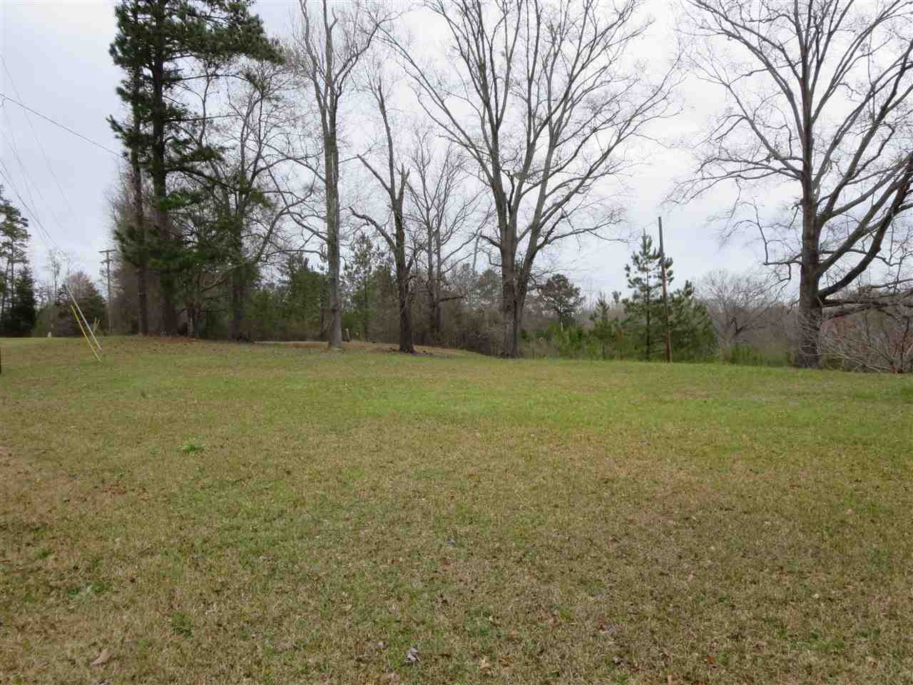 3180 Palestine Road Raymond, MS 39154 - Photo 2 of 27 Photo 2
