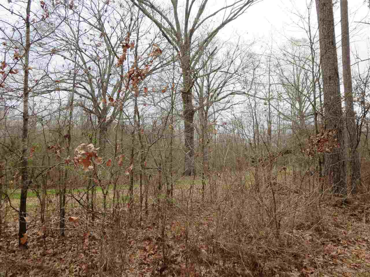 3180 Palestine Road Raymond, MS 39154 - Photo 26 of 27 Photo 27