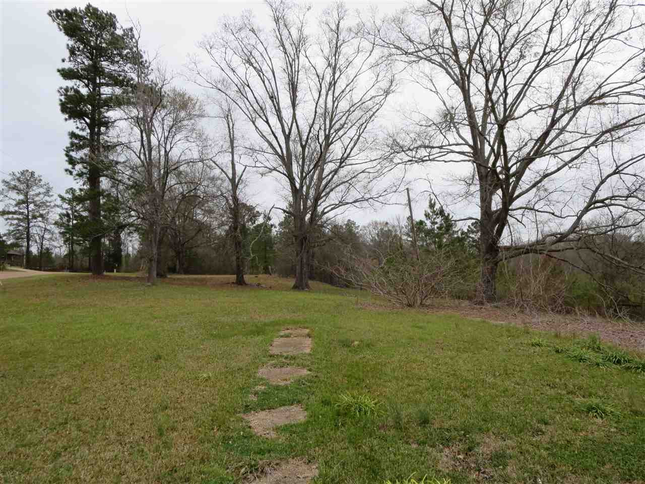 3180 Palestine Road Raymond, MS 39154 - Photo 3 of 27 Photo 3