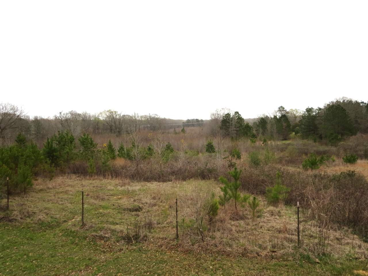3180 Palestine Road Raymond, MS 39154 - Photo 4 of 27 Photo 4