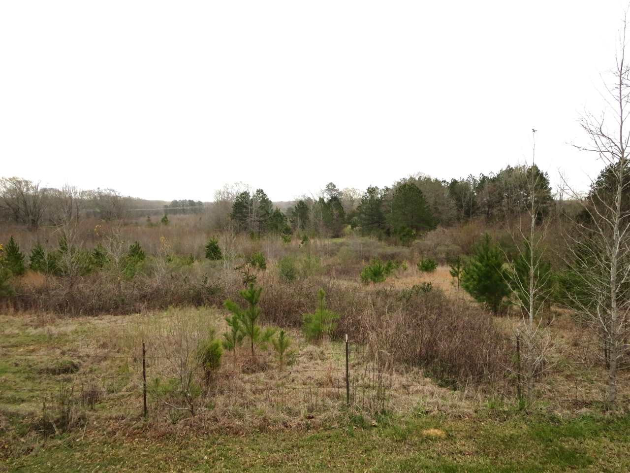 3180 Palestine Road Raymond, MS 39154 - Photo 5 of 27 Photo 5