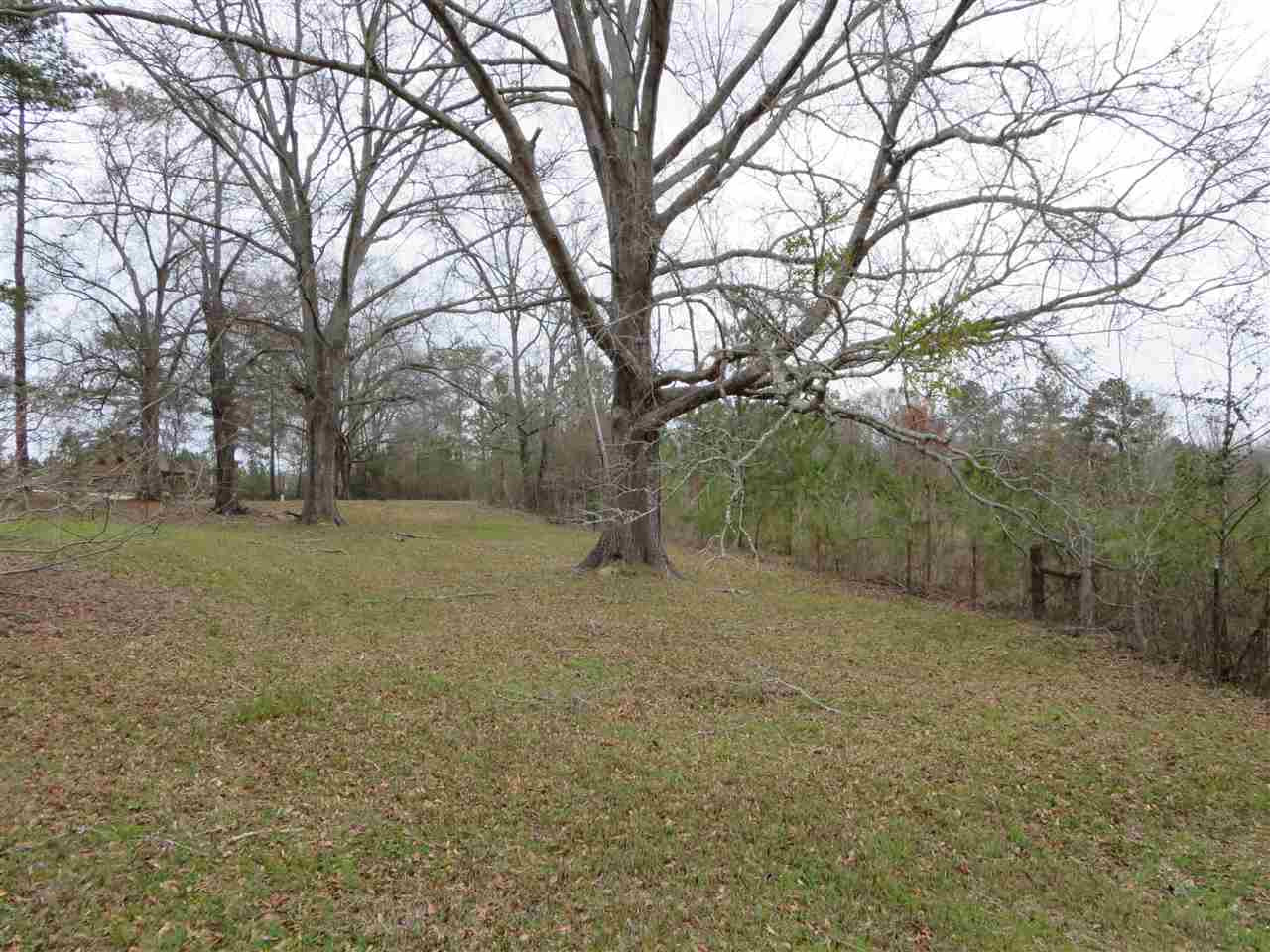 3180 Palestine Road Raymond, MS 39154 - Photo 6 of 27 Photo 6