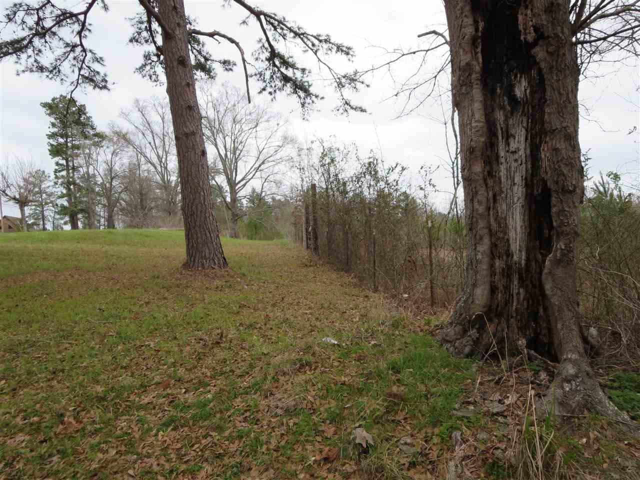 3180 Palestine Road Raymond, MS 39154 - Photo 7 of 27 Photo 7