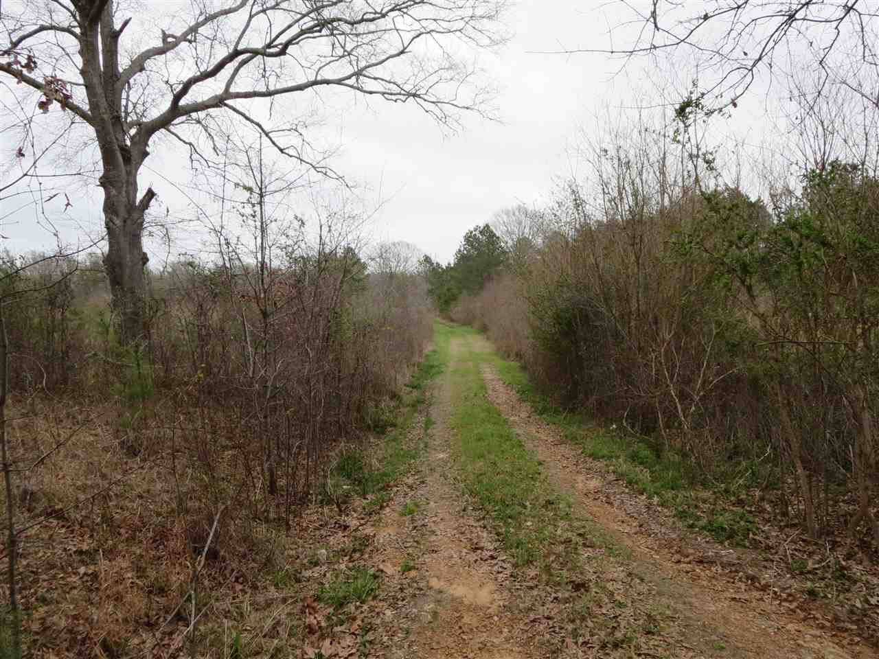 3180 Palestine Road Raymond, MS 39154 - Photo 8 of 27 Photo 8