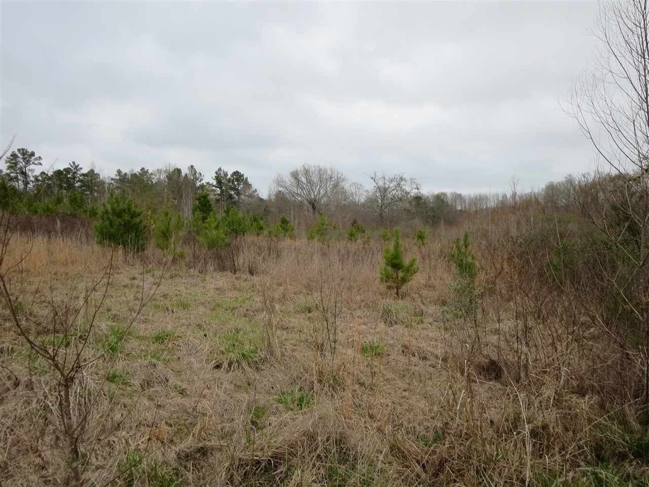 3180 Palestine Road Raymond, MS 39154 - Photo 9 of 27 Photo 9