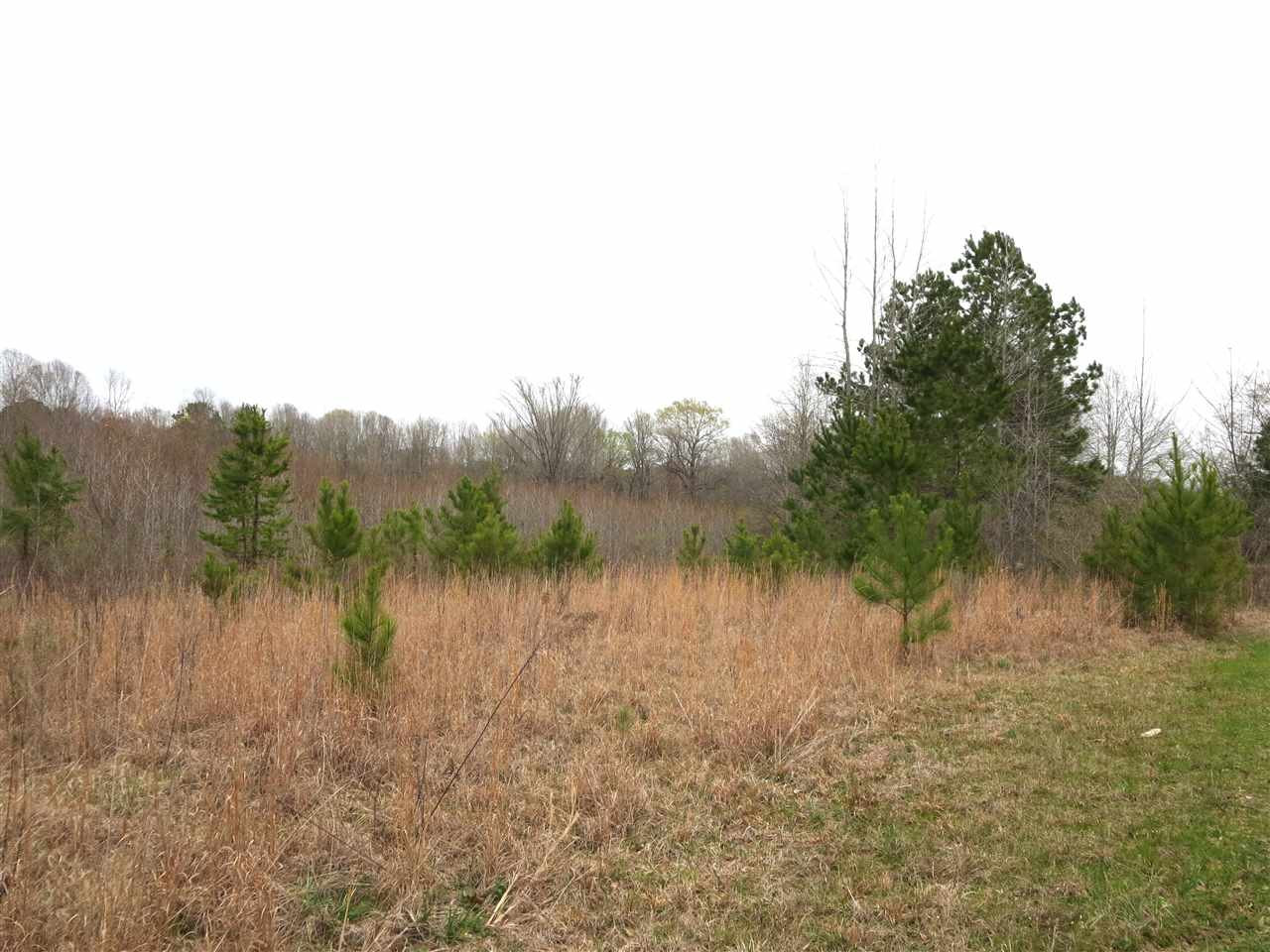 3180 Palestine Road Raymond, MS 39154 - Photo 10 of 27 Photo 10