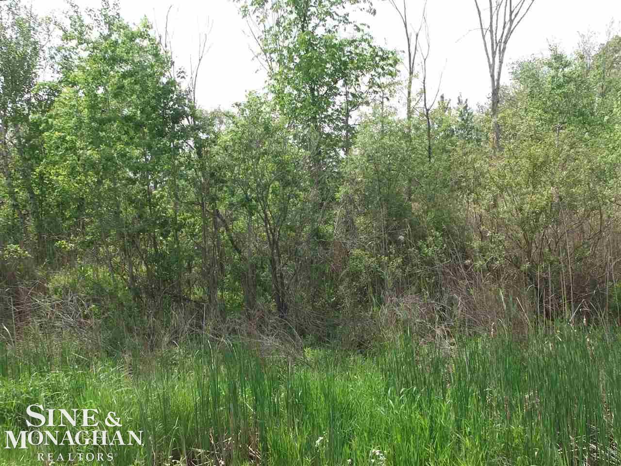 0 Lapeer Road Smiths Creek, MI 48074 - Photo 1 of 1
