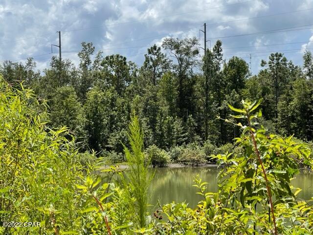 0 Skyview Road Marianna, FL 32446 - Photo 3 of 10