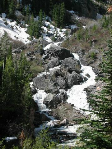 3532 County 361 Road Ouray, CO 81427 - Photo 2 of 5 a view of a tree of a yard