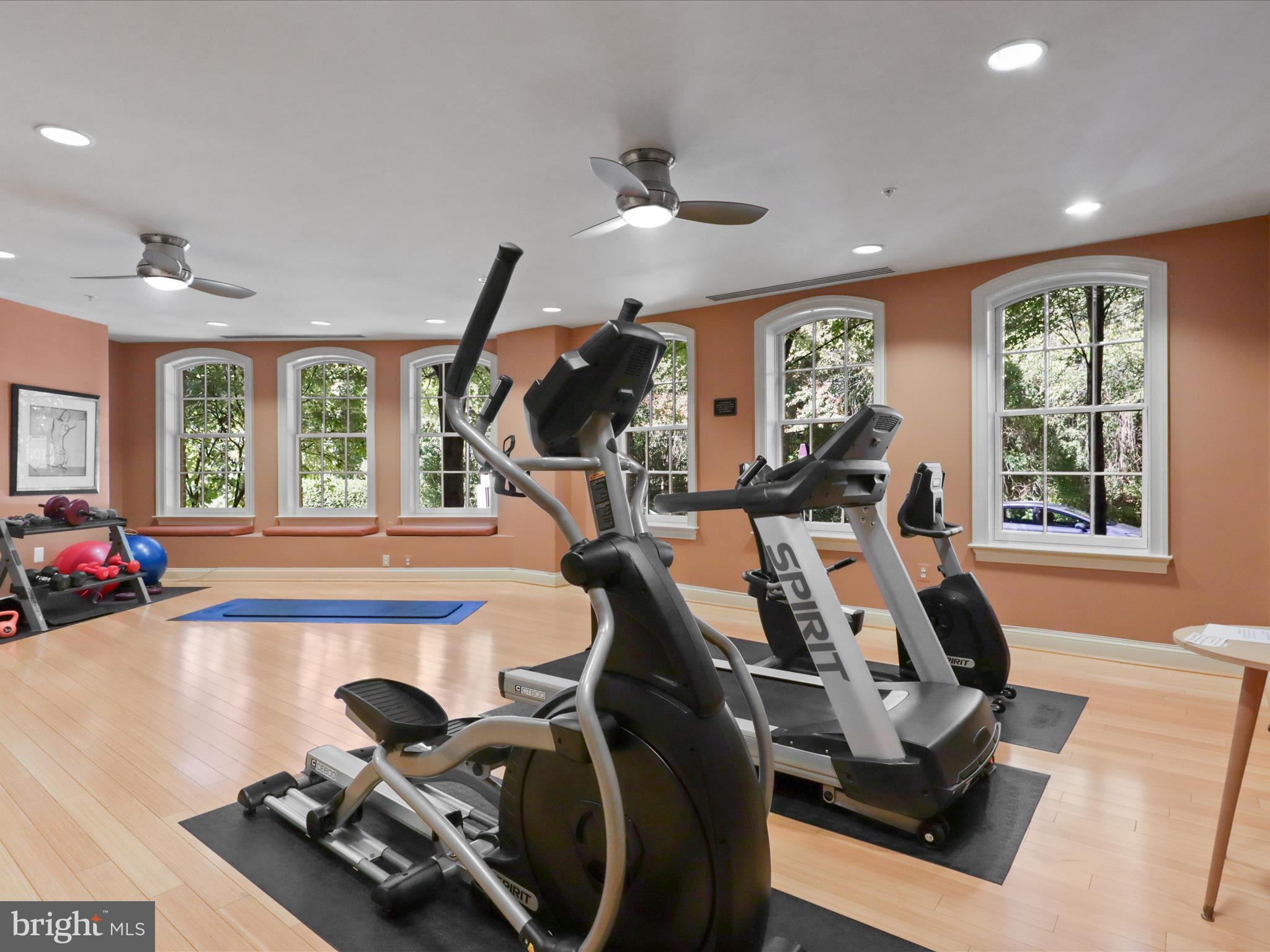 1781 Chain Bridge Road, Unit 303 McLean, VA 22102 - Photo 42 of 56 a view of a room with gym equipment