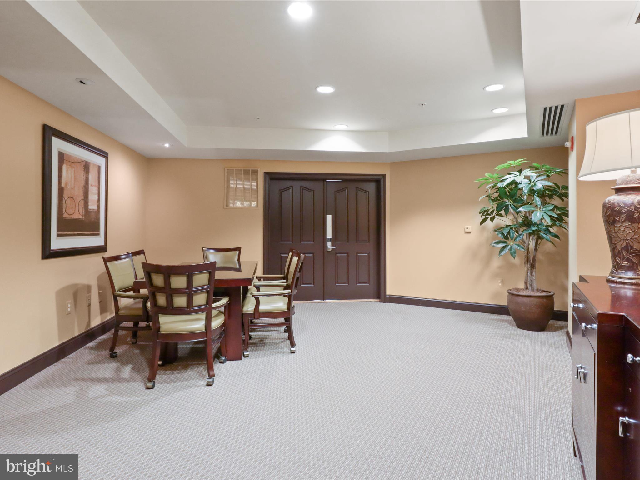 1781 Chain Bridge Road, Unit 303 McLean, VA 22102 - Photo 43 of 56 a view of a livingroom with furniture and a potted plant