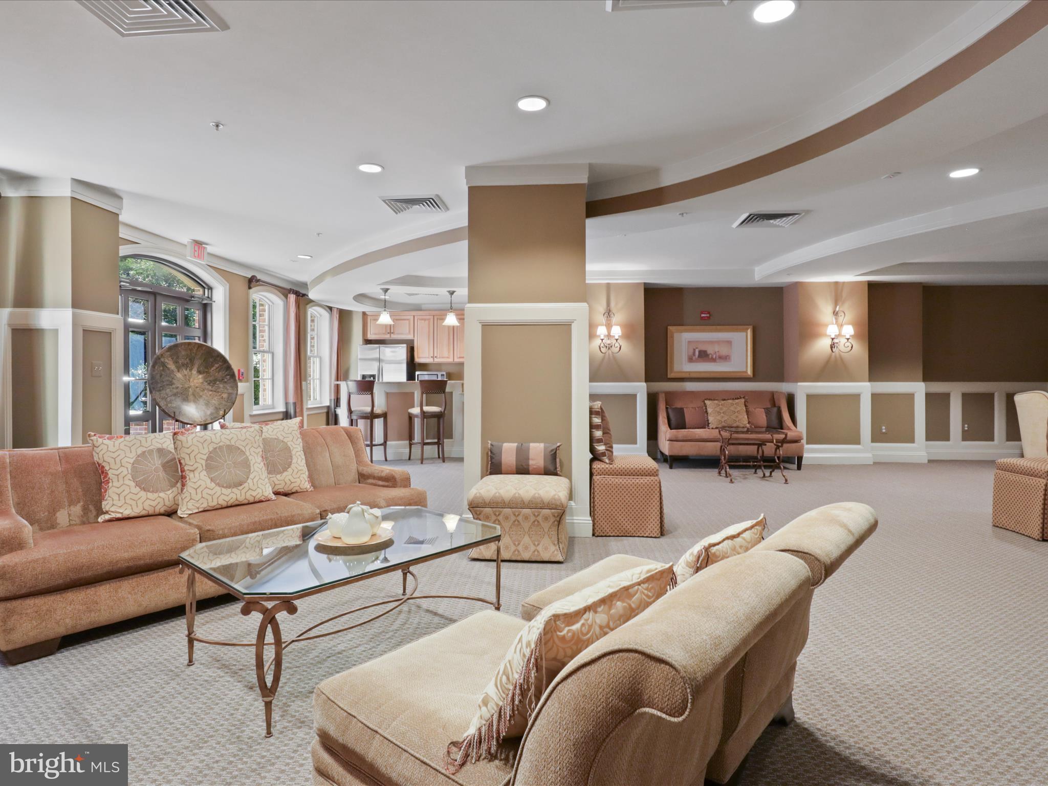 1781 Chain Bridge Road, Unit 303 McLean, VA 22102 - Photo 45 of 56 a living room with furniture and a view