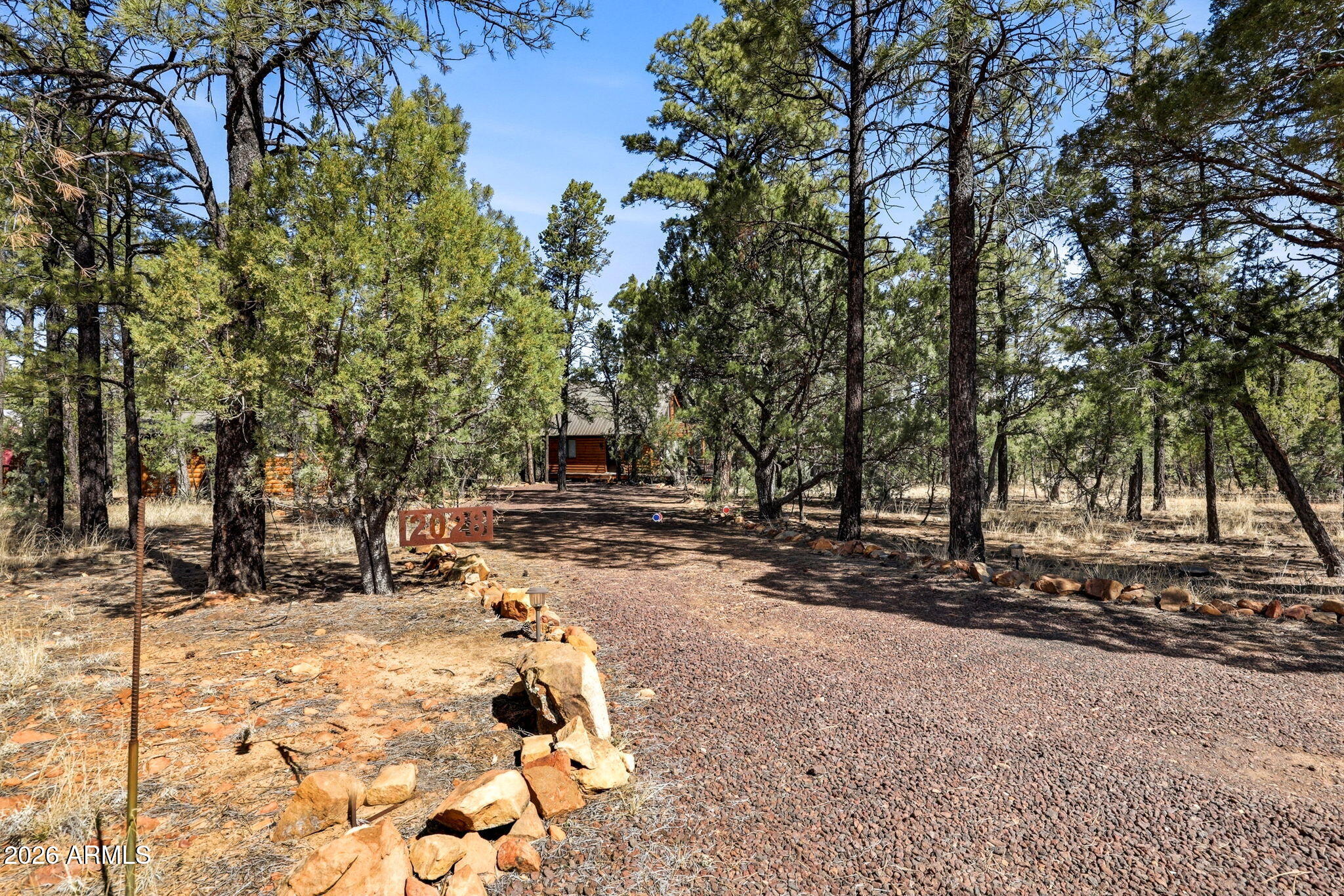 2028 Jone's Pass Overgaard, AZ 85933 - Photo 3 of 37
