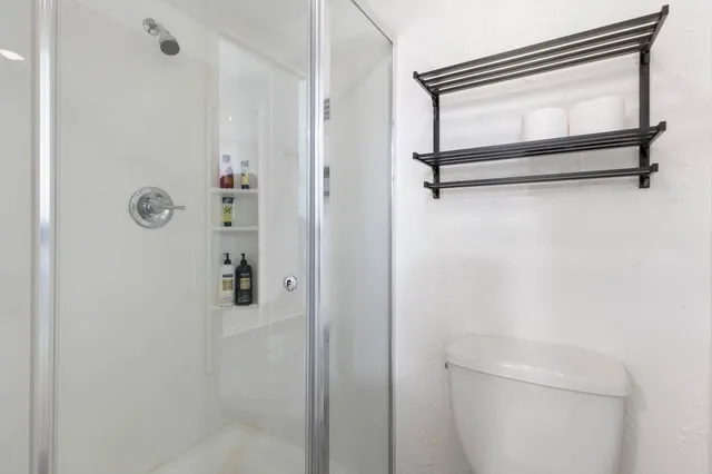 a bathroom with a shower and toilet