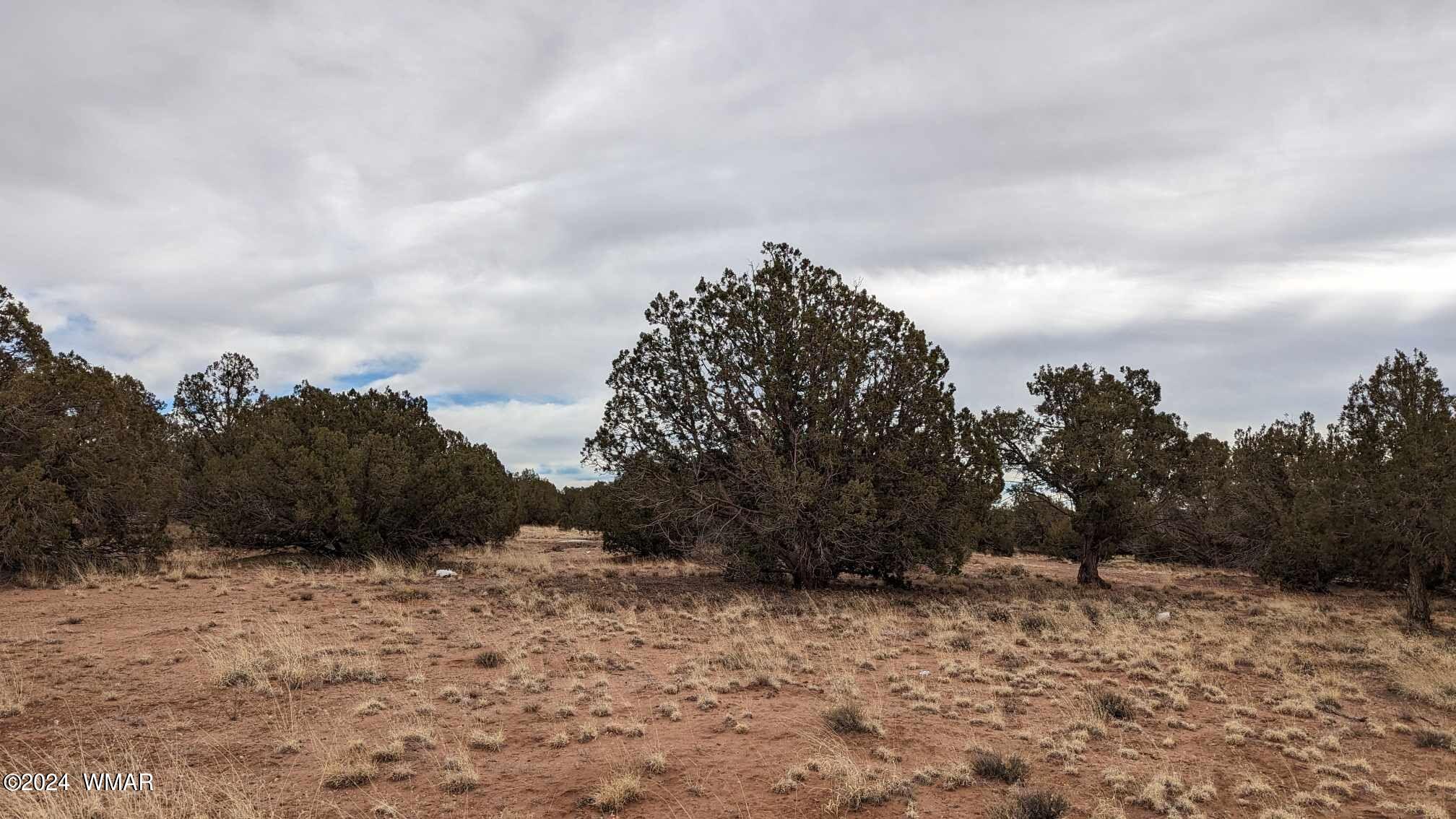4457-4451 East Pinto Road Snowflake, AZ 85937 - Photo 2 of 7