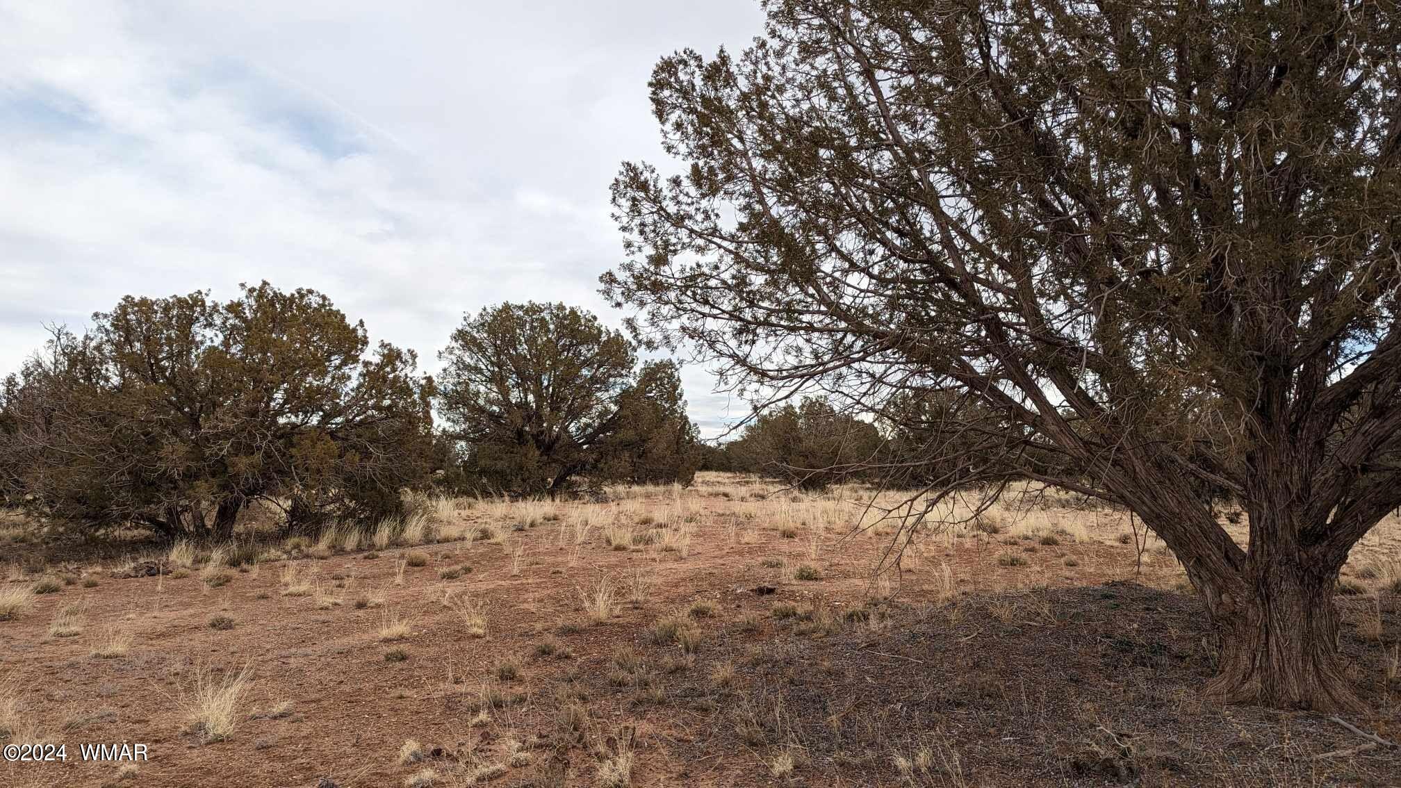 4457-4451 East Pinto Road Snowflake, AZ 85937 - Photo 3 of 7