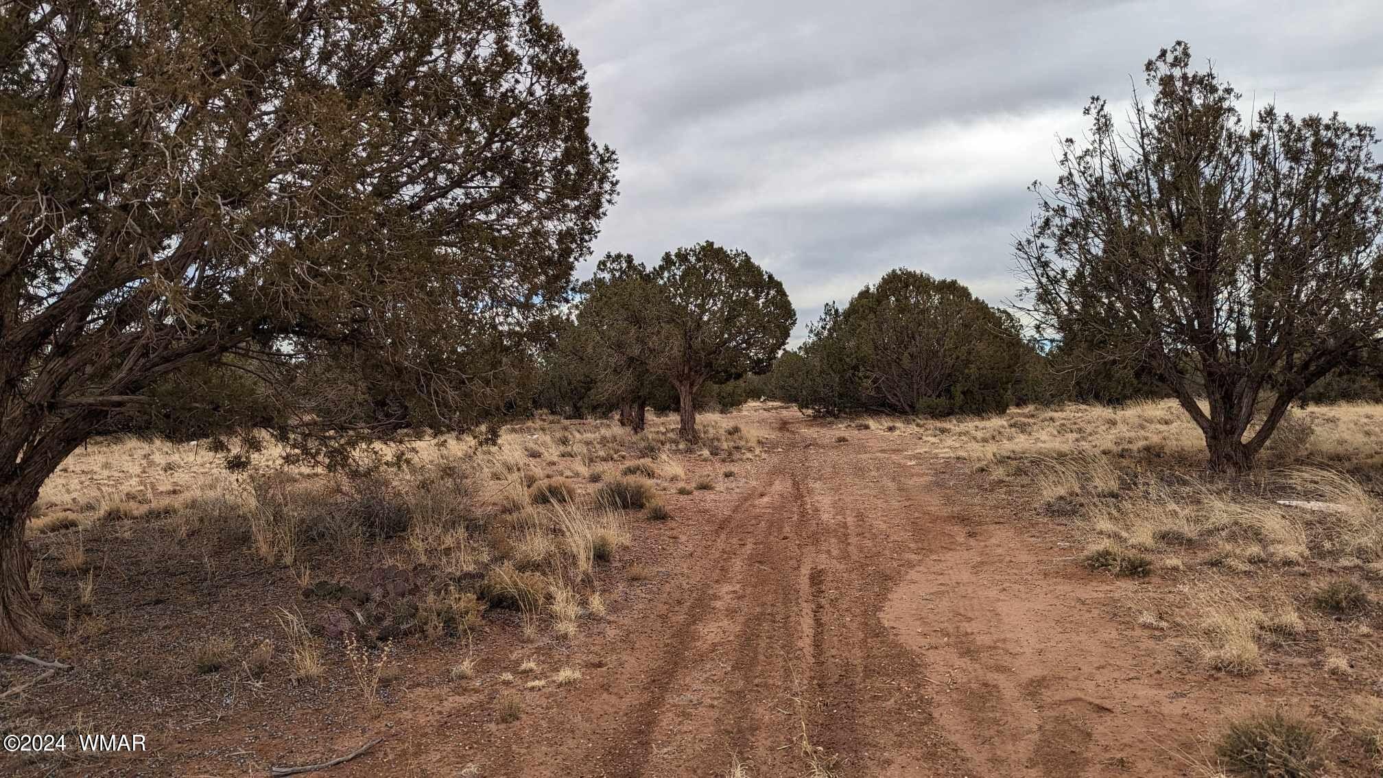 4457-4451 East Pinto Road Snowflake, AZ 85937 - Photo 4 of 7