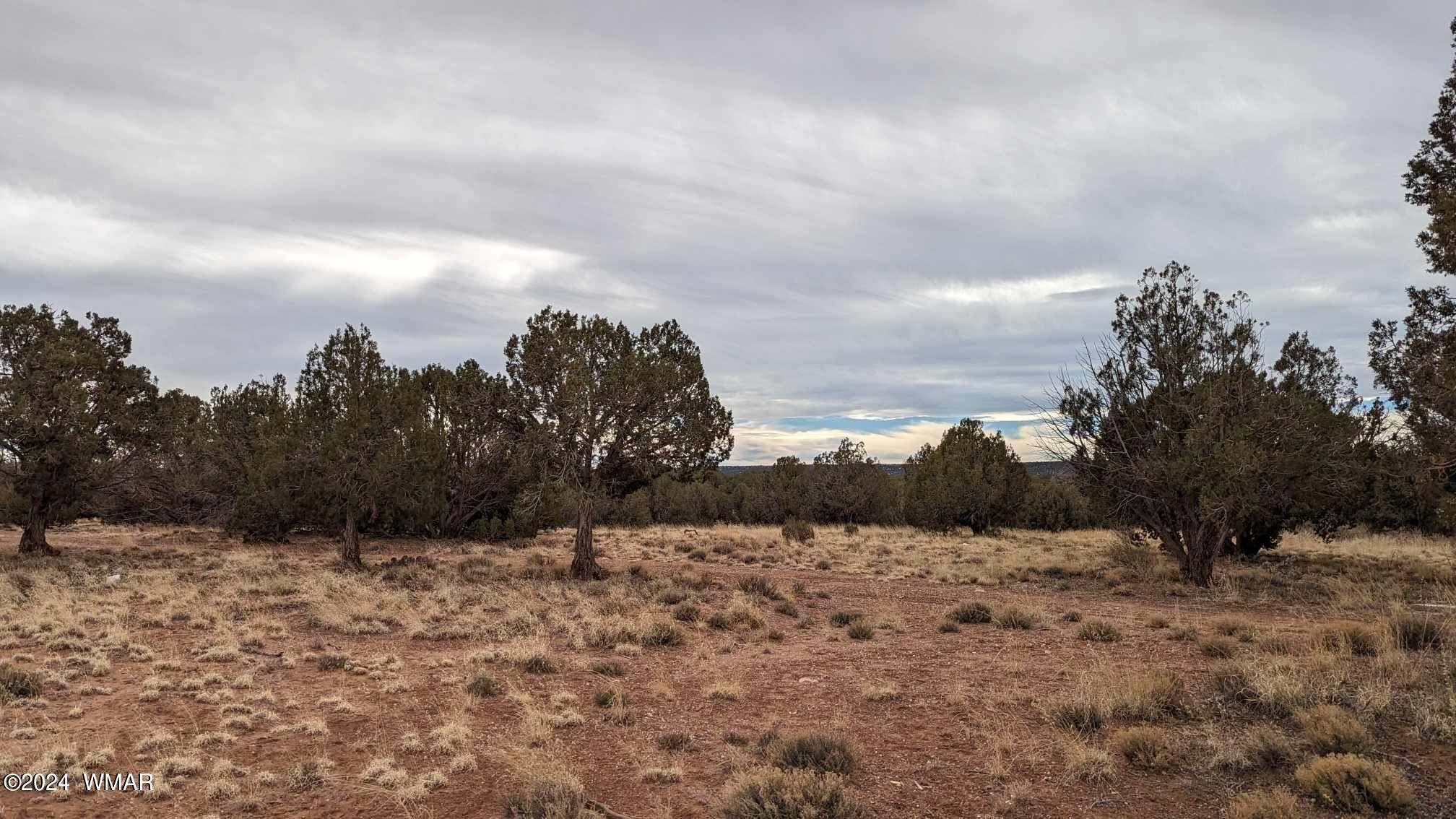 4457-4451 East Pinto Road Snowflake, AZ 85937 - Photo 5 of 7