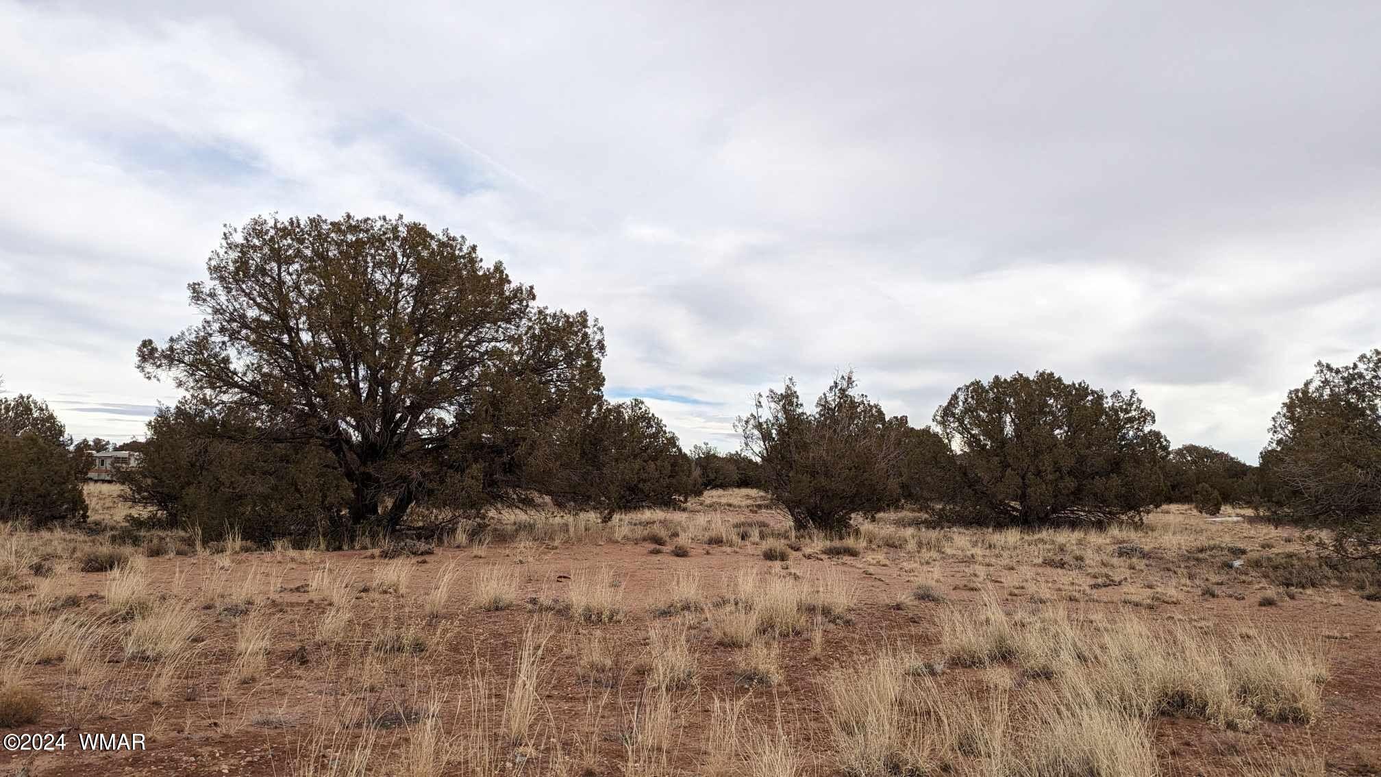 4457-4451 East Pinto Road Snowflake, AZ 85937 - Photo 6 of 7
