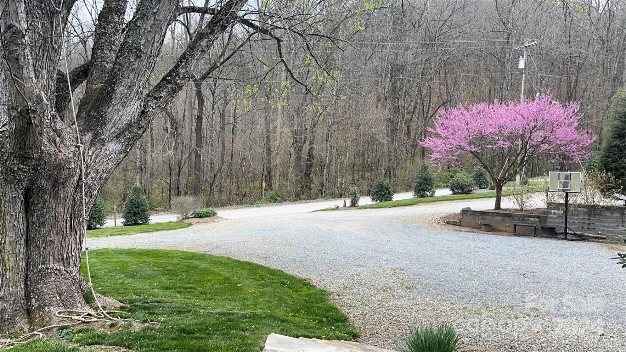 52 Sugar Loaf Road Sylva, NC 28779 - Photo 34 of 45 a front view of a house with a yard and tree s