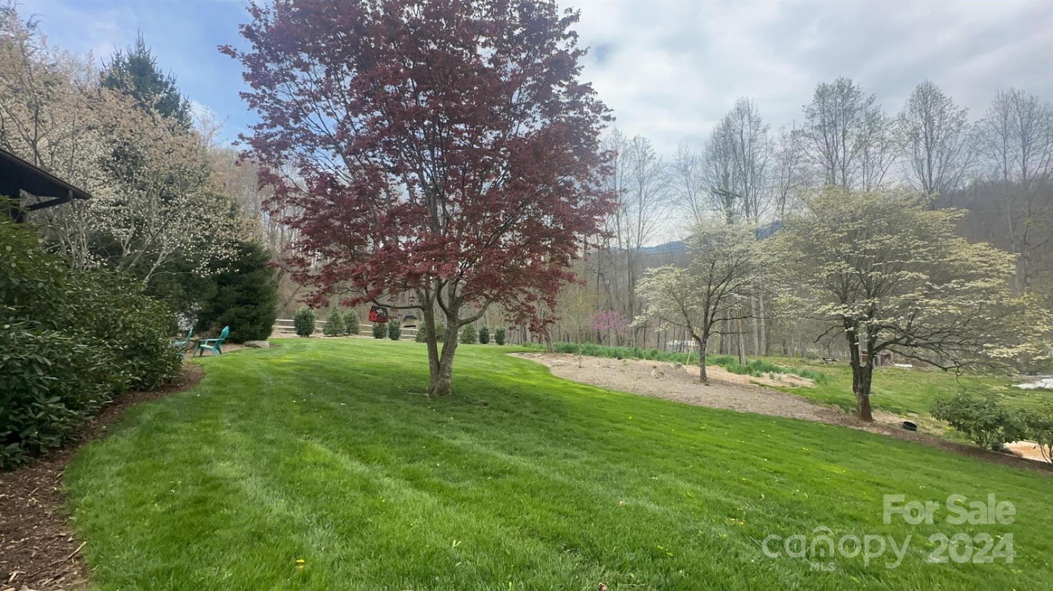 52 Sugar Loaf Road Sylva, NC 28779 - Photo 37 of 45 a view of a backyard with large trees