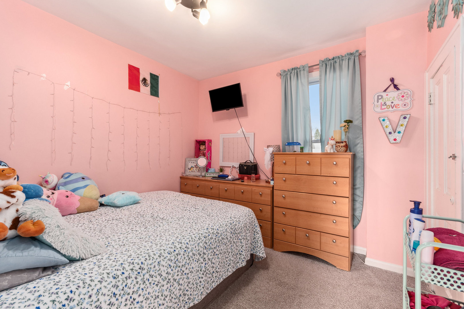 552 Simms Street Aurora, IL 60505 - Photo 8 of 19