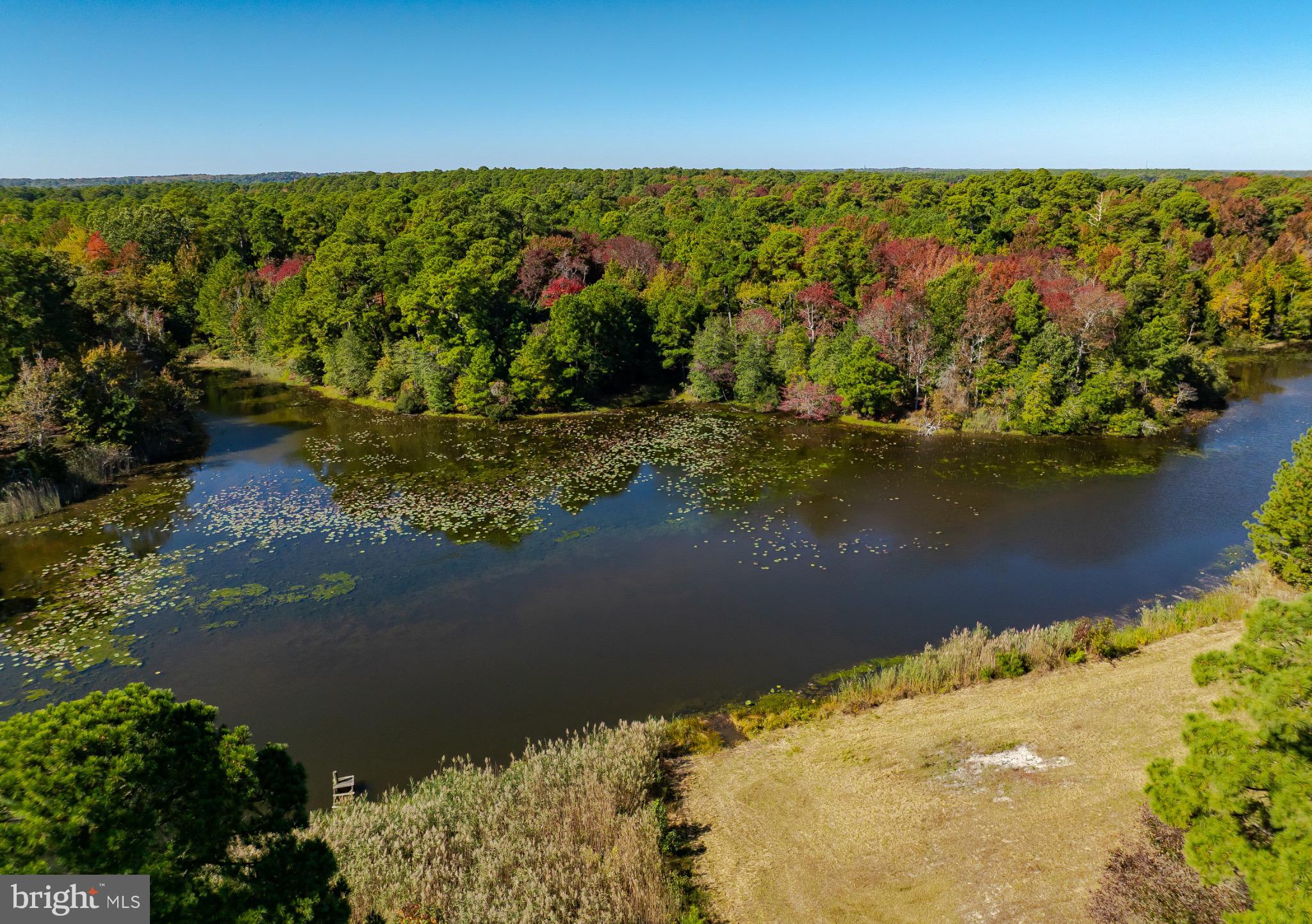 50645 Holly Point Road Dameron, MD 20628 - Photo 30 of 99