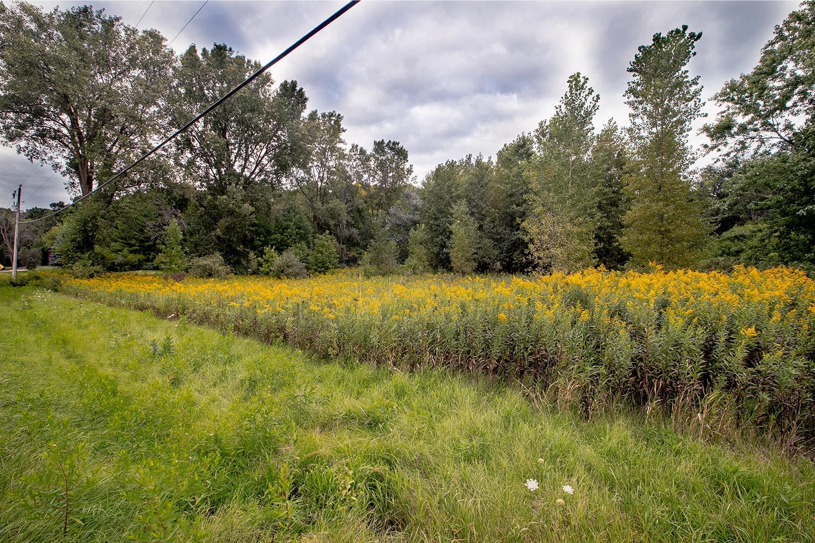 Cedar Lake Road Kiel, WI 53042 - Photo 1 of 1 Gallery Image 1