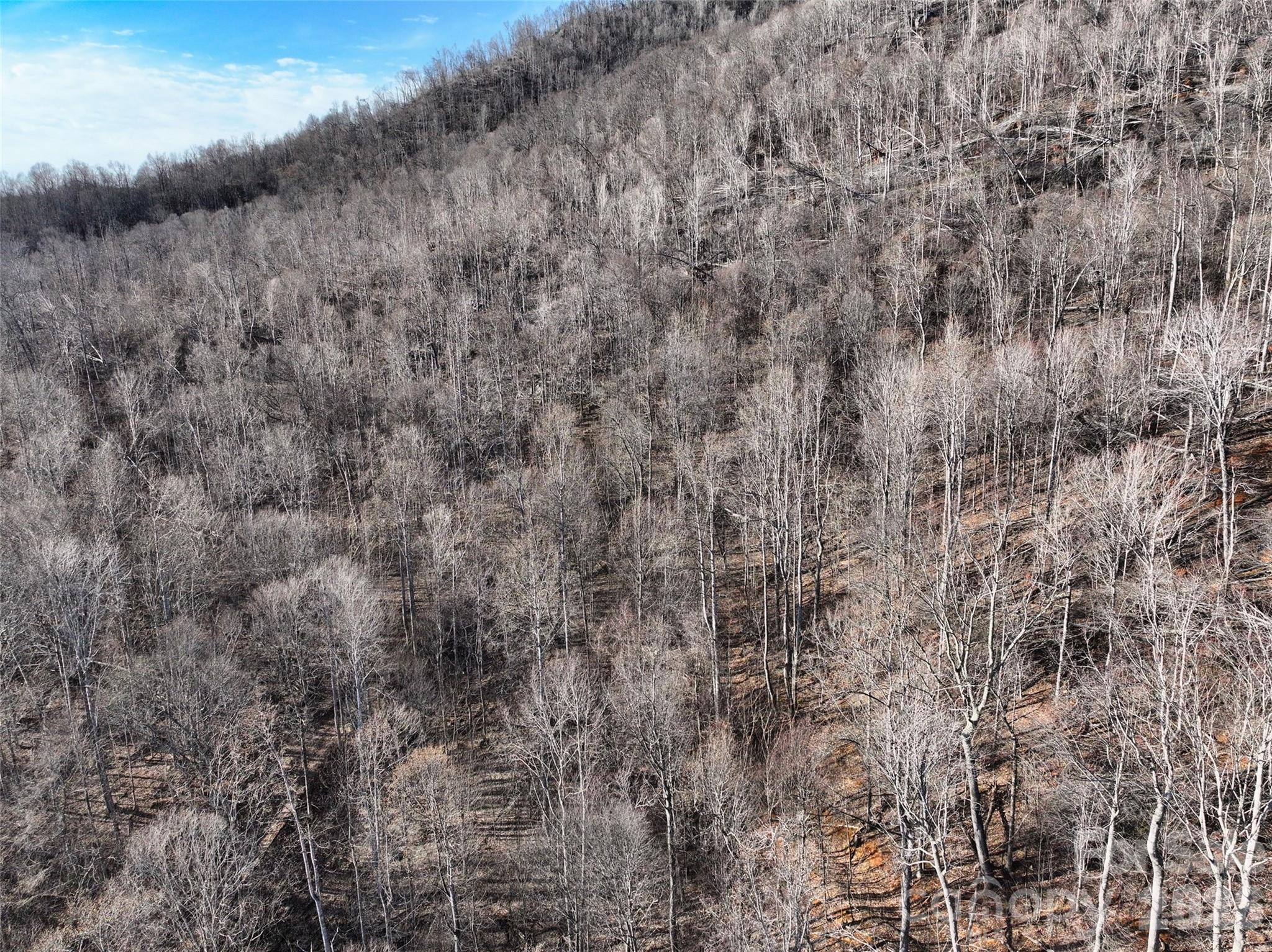 0 Fork Mountain Road Bakersville, NC 28705 - Photo 11 of 45 a view of a dry yard